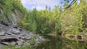 Pohořany - Strom splněných přání - Cesta světla - Bělkovice-Lašťany