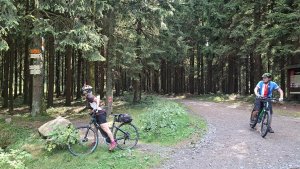 Šumperk - Buková hora - Suchý vrch - Červená Voda - Kocanda -  Šumperk
