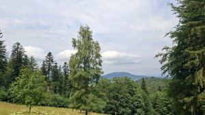 NS Česká Ves - Vodní mlýnky - Bělák - Čertovy kameny - Plotny - Švédská hlídka – Jeseník
