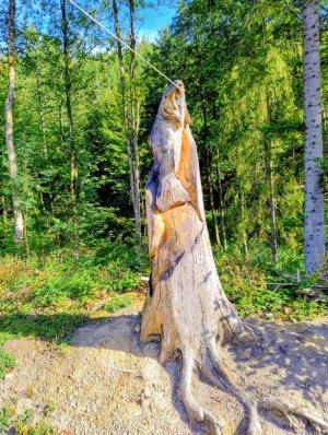 Tvrdkov - Souborem lesních bytostí - Ruda