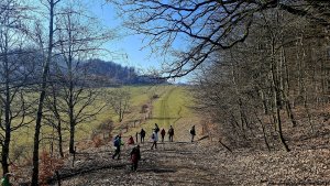Šumperská zimní 50 - Hrabišín - Brníčko - Postřelmov
