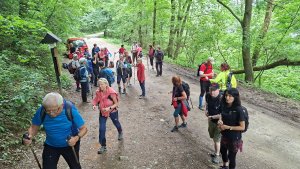 Krościenko nad Dunajcem - Sokolica - Czertezik - Czerteż