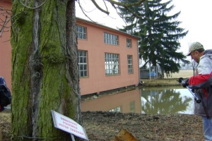 Elektrárna Háj - zadní pohled