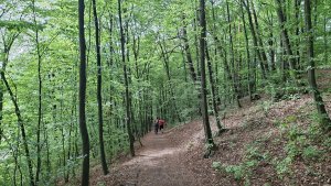 Luhačovice – okruh Dušana Jurkoviče