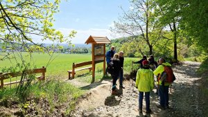 Libina - Tři kameny - Bradlo - Nová Hradečná Jana hadra Vlasta Vidrmanová