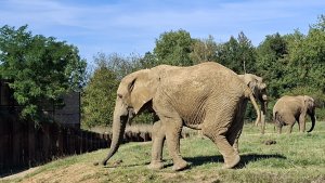 ZOO Lešná