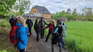 Pohořany - Strom splněných přání - Cesta světla - Bělkovice-Lašťany