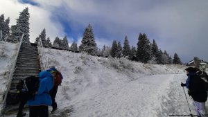 Ovčárna - Temná - Kapličkový vrch - Malá Morávka