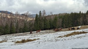 Ramzová - Pasák - Branná