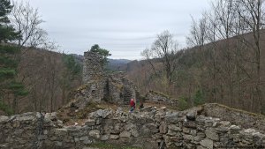 Zřícenina hradu, o kterém nejsou žádné doložené zprávy. Podle archeologických nálezů vznikl pravděpodobně ve 2. polovině 13. století. Název Rychleby nemá spojitost s žádnými dřívějšími majiteli, ale pouze se zdejším pohořím. V 19. století byla zřícenina upravena v duchu romantismu.