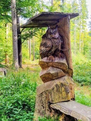 Tvrdkov - Souborem lesních bytostí - Ruda