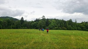 Lesní zážitková NS - Komňátka - štola Mařka – Bohdíkov - Komňátka