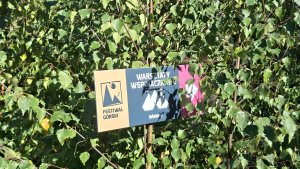Góry Złoty - Szwedzkie Szańce – Trojak - Lądek-Zdrój