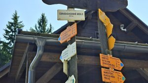 Šumperk - Buková hora - Suchý vrch - Červená Voda - Kocanda -  Šumperk