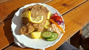 Šumperk - Velké Losiny - Přemyslov - Pekařov - Šumperk