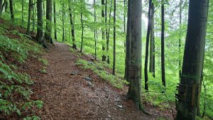 Lesní zážitková NS - Komňátka - štola Mařka – Bohdíkov - Komňátka
