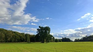 Česká Skalice - Národní přírodní památka Babiččino údolí