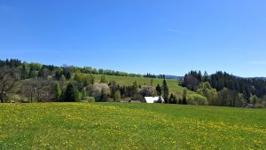 Červená Voda - Křížová hora - Moravský Karlov - Zašívárna - Písařov