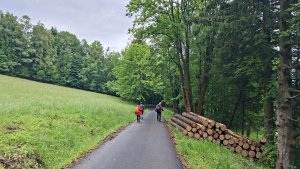 Vysoké Žibřidovice - Cibulka - Sviní hora - Vojtíškov - Podlesí