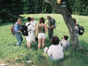 Ještě vrcholovku a vzhůru dolů do údolí.