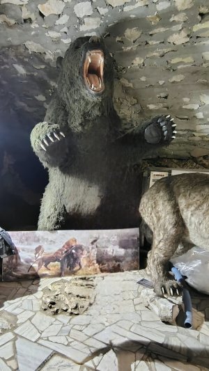 Kletno - Medvědí jeskyně - Jaskinia Niedźwiedzia