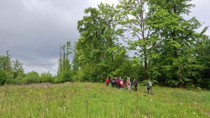 Pohořany - Strom splněných přání - Cesta světla - Bělkovice-Lašťany