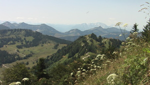 hora Zwölferhorn