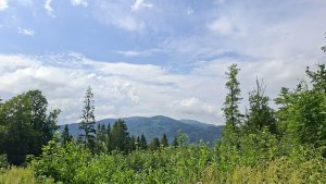 NS Česká Ves - Vodní mlýnky - Bělák - Čertovy kameny - Plotny - Švédská hlídka – Jeseník