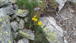 Štrbské pleso – vodopád Skok – Bystrá lávka 2300 m.n.m. – Solisko