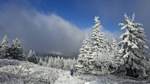 Ovčárna - Temná - Kapličkový vrch - Malá Morávka