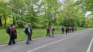 Pohořany - Strom splněných přání - Cesta světla - Bělkovice-Lašťany
