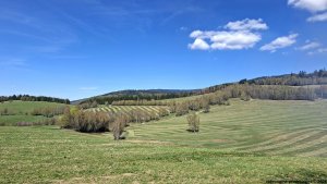 Šumperk - Velké Losiny - Přemyslov - Pekařov - Šumperk