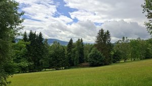 Vysoké Žibřidovice - Cibulka - Sviní hora - Vojtíškov - Podlesí