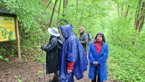 Lesní zážitková NS - Komňátka - štola Mařka – Bohdíkov - Komňátka