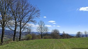 Šumperk - Velké Losiny - Přemyslov - Pekařov - Šumperk