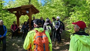 Libina - Tři kameny - Bradlo - Nová Hradečná Jana hadra Vlasta Vidrmanová