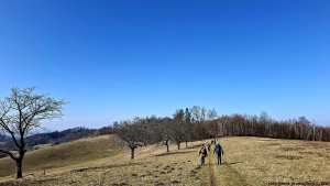 Šumperská zimní 50 - Hrabišín - Brníčko - Postřelmov