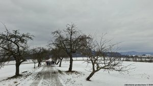 Bludov - Brusná - Bludoveček - Šumperk