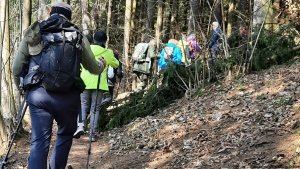 Jindřichov - zřícenina hradu Pleče - Hanušovice