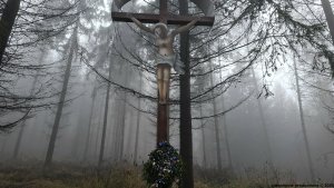 zdobení vánočního stromku...Vápenice - Křížek - Katovna - Sokolovna