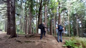Vápenice - Mikulčin vrch - Malý Lopeník - Veľký Lopeník - Lopeník