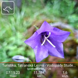 Tatranská Lesná - Vodopády Studeného potoka - Tatranská Lomnica
