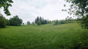 Lesní zážitková NS - Komňátka - štola Mařka – Bohdíkov - Komňátka
