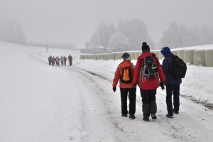 Z vycházky Kopřivná_Rovinka_Hanušovice. ved.Hruba,foto SlávkaaVojtaKrejčí