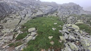 Štrbské pleso – vodopád Skok – Bystrá lávka 2300 m.n.m. – Solisko
