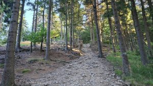 úplněk Ovčárna - Praděd - Ovčárna - Pecný - Skřítek