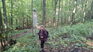 Lázně Jeseník – Studniční vrch - Jeseník