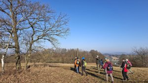 Šumperská zimní 50 - Hrabišín - Brníčko - Postřelmov