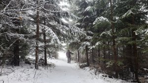 Písařovské sedlo - Spálenisko - Kocanda