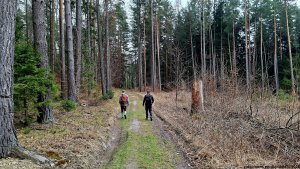 Velká Kraš - Annín - Kobylá - Venušiny misky - Smolný vrch - Boží hora - Žulová